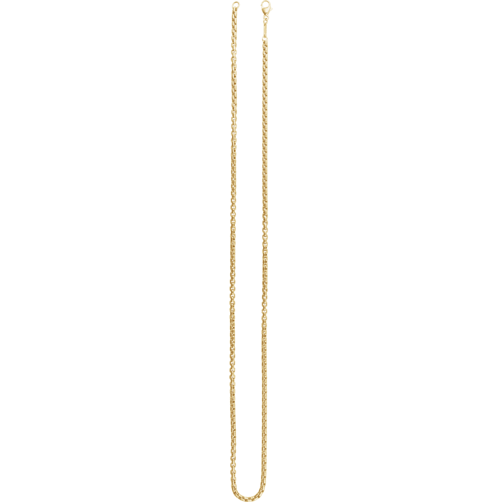 Gold chain necklace on a white background