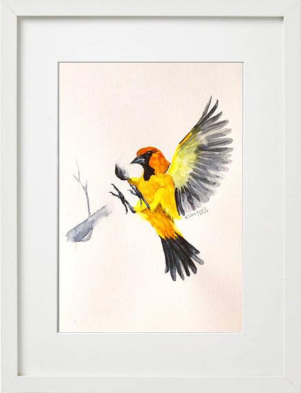 Altamira Oriole Bird Painting - Nested Yellow Jewelry Co.