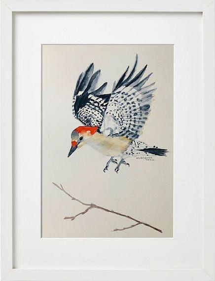 Red Belly Woodpecker Bird Painting - Nested Yellow Jewelry Co.